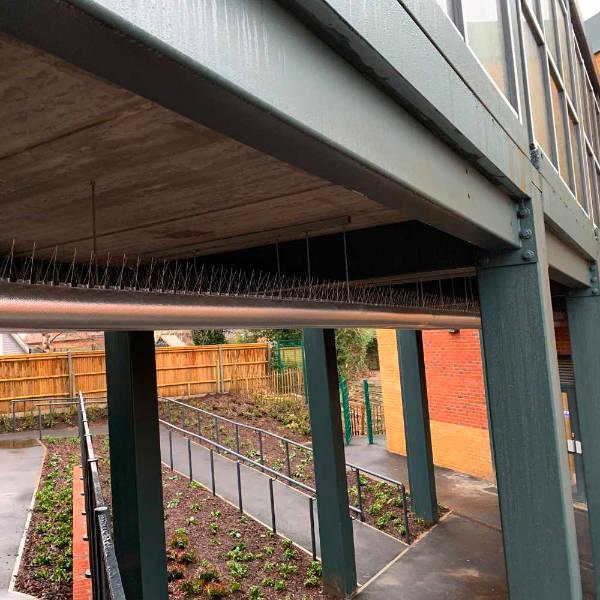Bird Control Spikes Surrey
