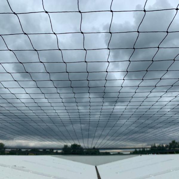 Surrey Bird Control - Commercial bird control netting